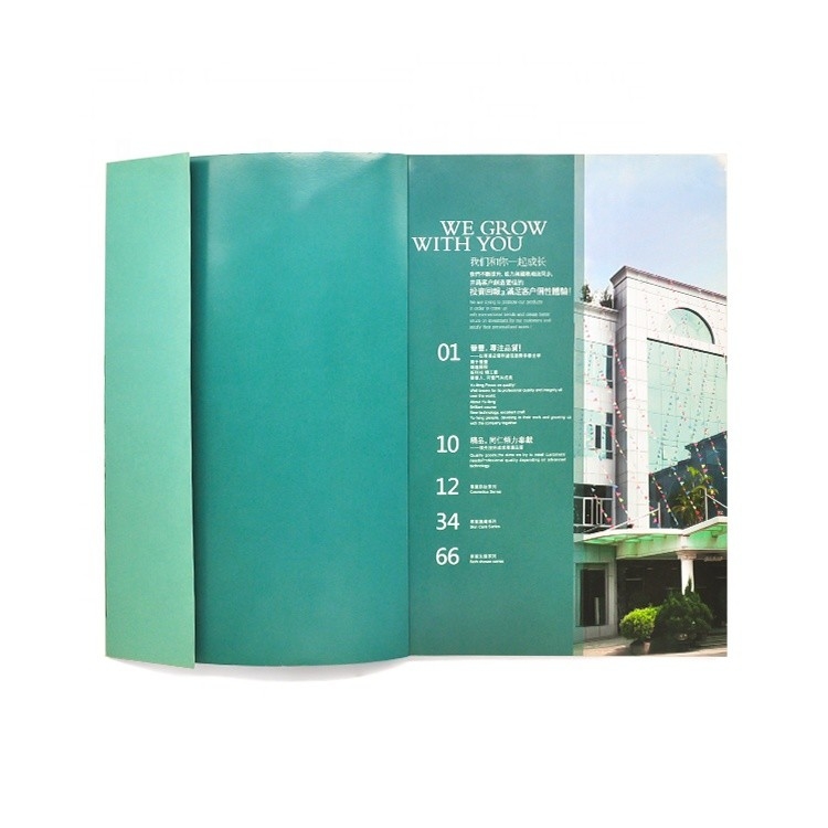 4c+4c CMYK 색깔 ISO 승인을 인쇄하는 주문을 받아서 만들어진 색깔 그림책